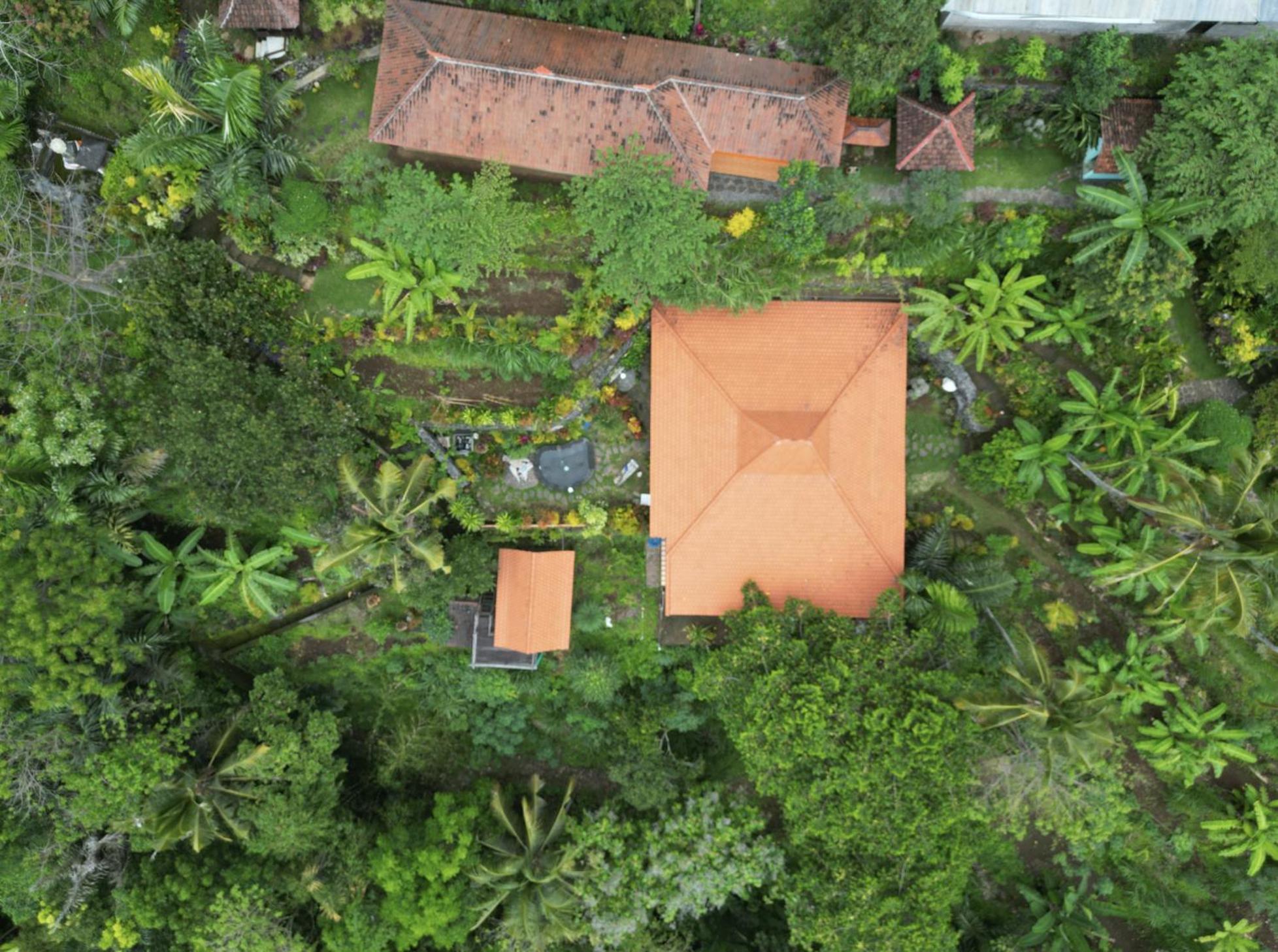 Villa Kepuh Singaraja Екстериор снимка